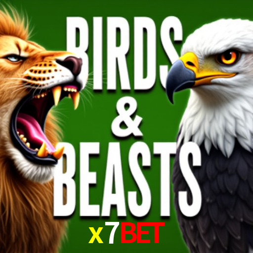 Apostas Esportivas na x7bet: Um Guia Completo